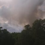 2019-06-05 15.44.17
