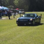IMG_0065